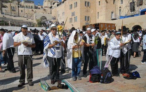 Restoration fotoğrafı