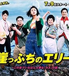Gakeppuchi No Eri (2010) afişi