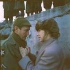 A Year Of The Quiet Sun fotoğrafı