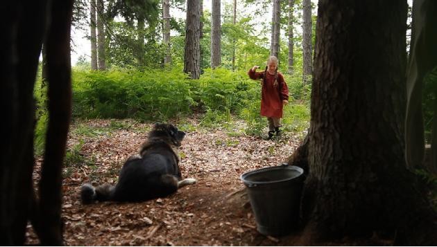 À pas de loup fotoğrafı
