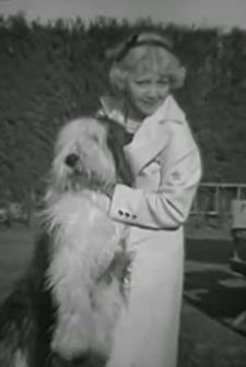 A Trip Thru A Hollywood Studio (1935) afişi