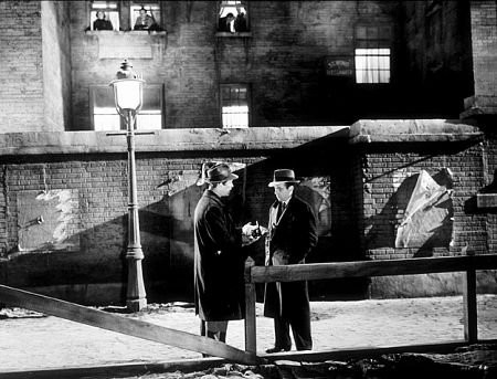 Malta Şahini Fotoğrafı