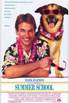 Yaz Okulu (1987) afişi