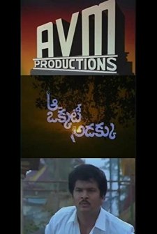 Aa Okkati Adakku (1993) afişi