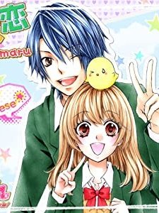 Hiyokoi (2010) afişi