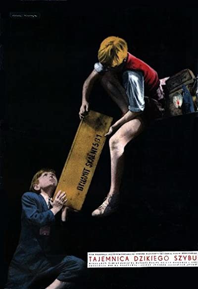 Tajemnica Dzikiego Szybu (1956) afişi