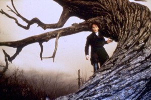 Hayalet Süvari Fotoğrafı