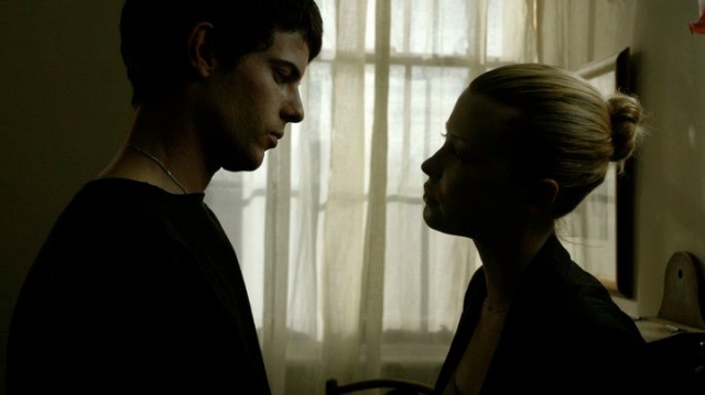 Pelikan Kanı Fotoğrafı