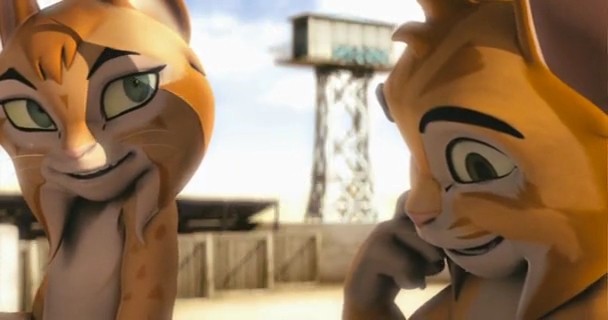 Kayıp Kedi Fotoğrafı