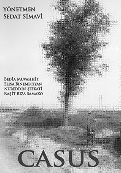 Casus (1917) afişi