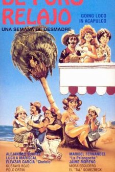De Puro Relajo (1986) afişi
