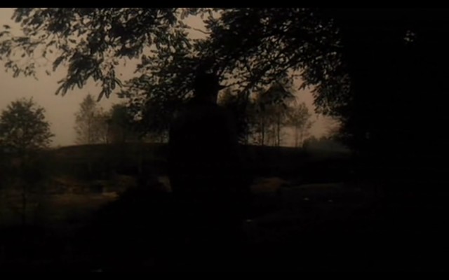 Panny Z Wilka Fotoğrafı