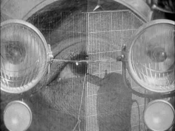 Emak-bakia Fotoğrafı