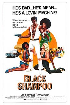Black Shampoo (1976) afişi