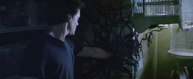 Tuhaf Thomas fotoğrafı