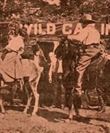 Half Breed's Treachery (1909) afişi