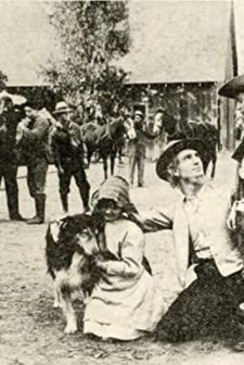 ın The Firelight (1913) afişi