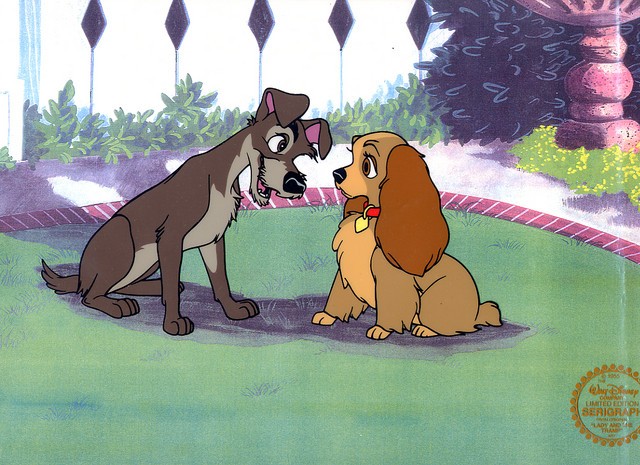 Leydi ile Sokak Köpeği Fotoğrafı