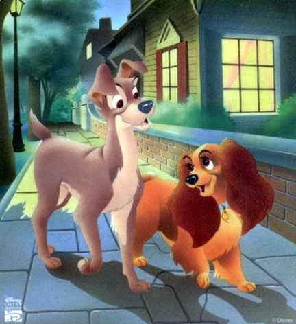 Leydi ile Sokak Köpeği Fotoğrafı