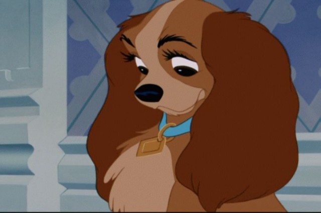 Leydi ile Sokak Köpeği Fotoğrafı