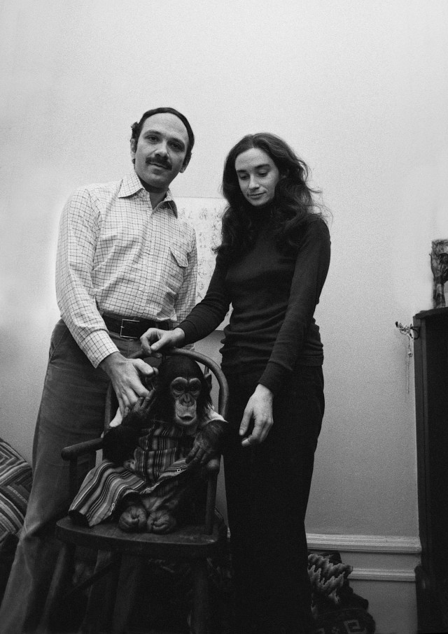 Proje Nim fotoğrafı