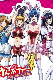 Kampfer Fur Die Liebe (2011) afişi