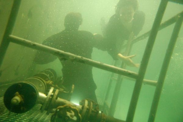 Die Sturmflut Fotoğrafı