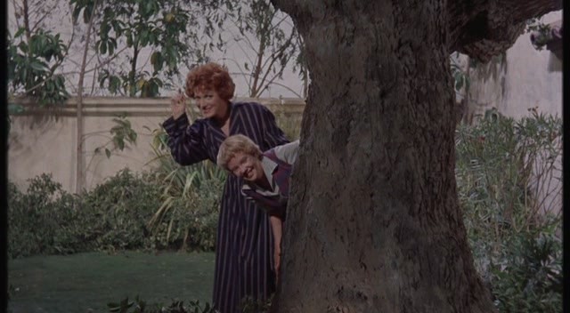 The Parent Trap Fotoğrafı