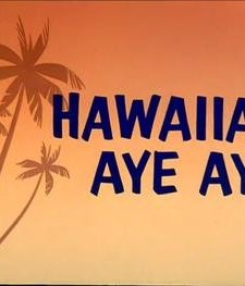 Hawaiian Aye Aye (1964) afişi