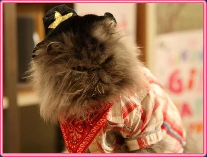 Kızlar Erkeklerden Ne İster? Fotoğrafı