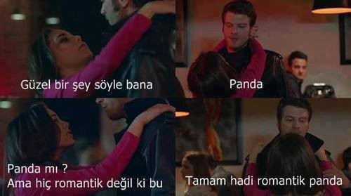 Kuzey Güney Fotoğrafı