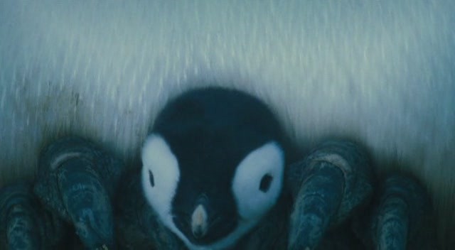 İmparatorun Yolculuğu Fotoğrafı