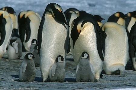 İmparatorun Yolculuğu Fotoğrafı