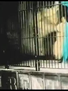 Danse Serpentine (1900) afişi