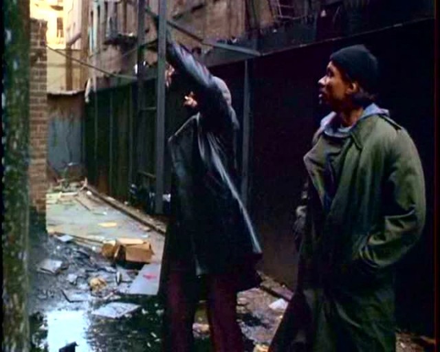 Gece Şahini Fotoğrafı