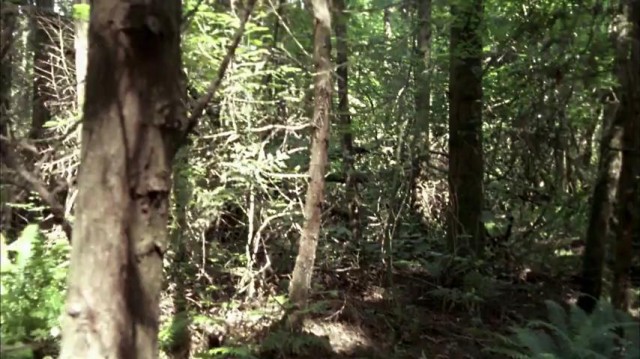 Korku Kapanı 2 Fotoğrafı