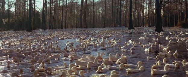 Not Defteri Fotoğrafı