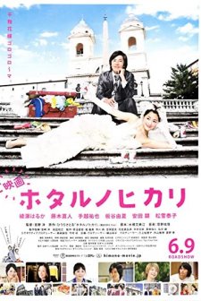 Bir Ateş Böceği Parıltısı (2012) afişi