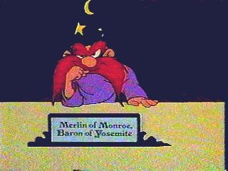 A Connecticut Rabbit ın King Arthur's Court fotoğrafı