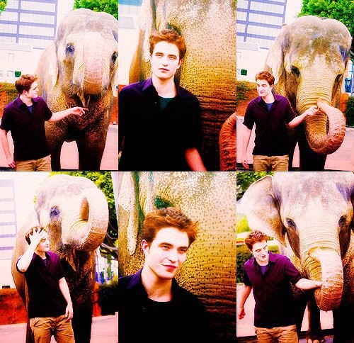 Alacakaranlık Efsanesi: Şafak Vakti Bölüm 2 Fotoğrafı