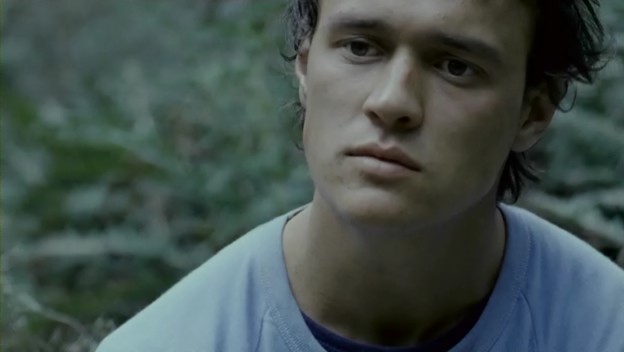 Monkey Puzzle fotoğrafı