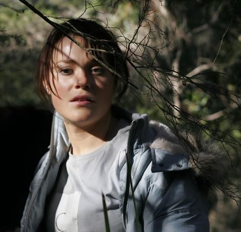 Monkey Puzzle fotoğrafı