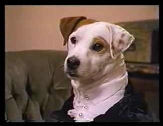 Wishbone,yaşa Wishbone Fotoğrafı