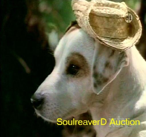 Wishbone,yaşa Wishbone Fotoğrafı