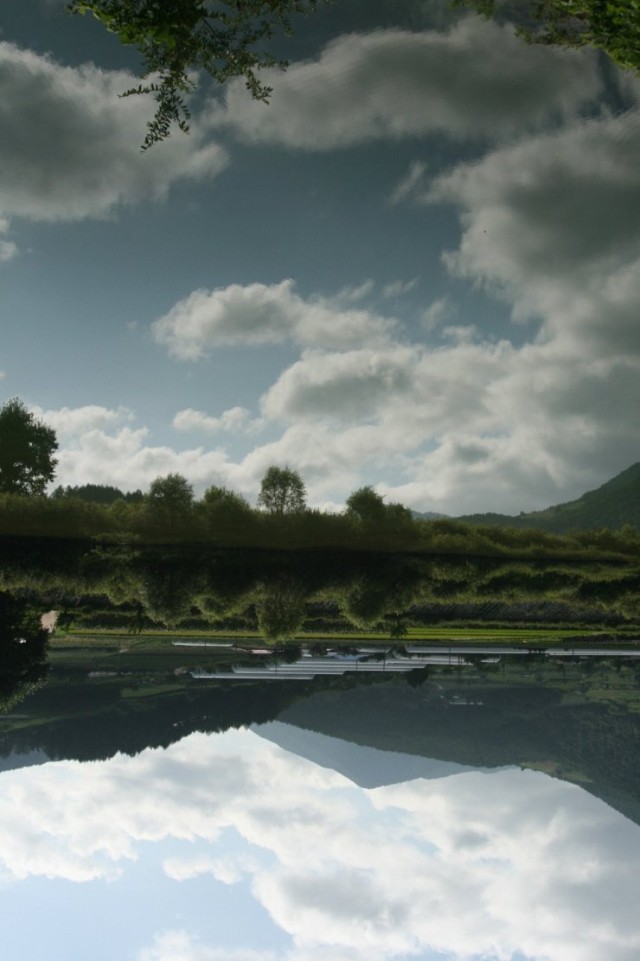 Hi, Dokdo Fotoğrafı