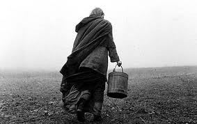 Torino Atı Fotoğrafı