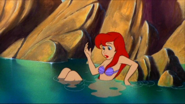 Küçük Denizkızı Fotoğrafı