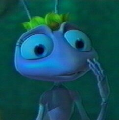 Bir Böceğin Yaşamı Fotoğrafı