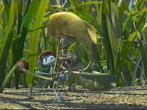 Bir Böceğin Yaşamı Fotoğrafı