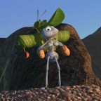 Bir Böceğin Yaşamı Fotoğrafı